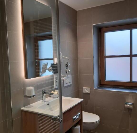스탠다드 싱글 룸, Deva Hotel Alpenglück