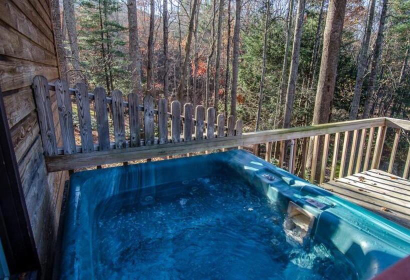 خانه 2 خوابه, Asheville Cabins Of Willow Winds