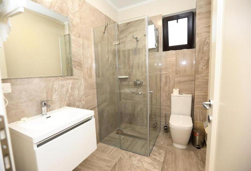 Номер Deluxe, Casa Budisteanu