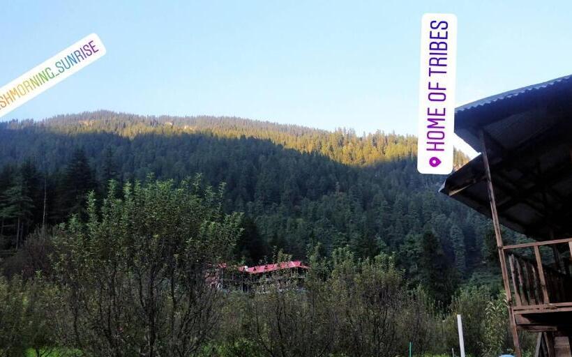 이코노미 룸, Yolo Backpackers   Pulga