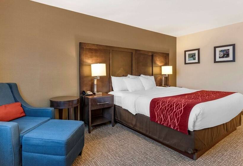 Номер Стандарт, Comfort Inn Williamsport