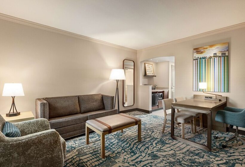스탠다드 룸 더블 침대, Embassy Suites By Hilton Tampa Downtown Convention Center