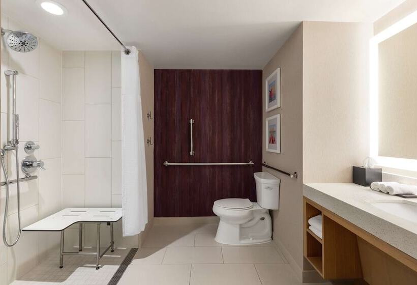 스탠다드 스튜디오 더블 침대, Embassy Suites By Hilton Tampa Downtown Convention Center