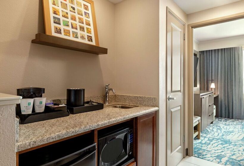 스탠다드 스튜디오 더블 침대, Embassy Suites By Hilton Tampa Downtown Convention Center