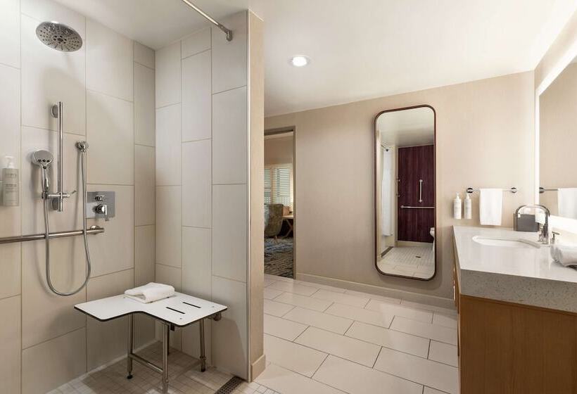 스탠다드 스튜디오 더블 침대, Embassy Suites By Hilton Tampa Downtown Convention Center