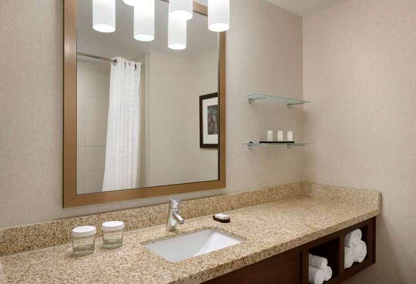 חדר סטנדרט עם מיטת קינג, Embassy Suites By Hilton Tucson Paloma Village