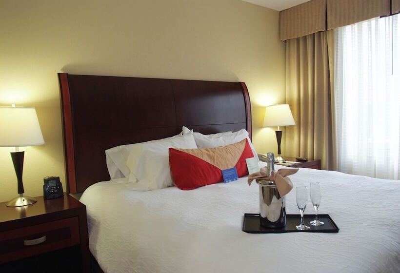 套房, Hilton Garden Inn Anderson