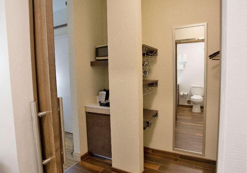 Номер Премиум, Hilton Garden Inn Bentonville Rogers