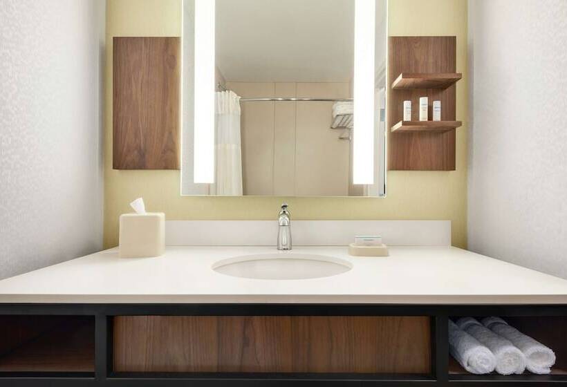 اتاق استاندارد, Hilton Garden Inn Dubuque Downtown