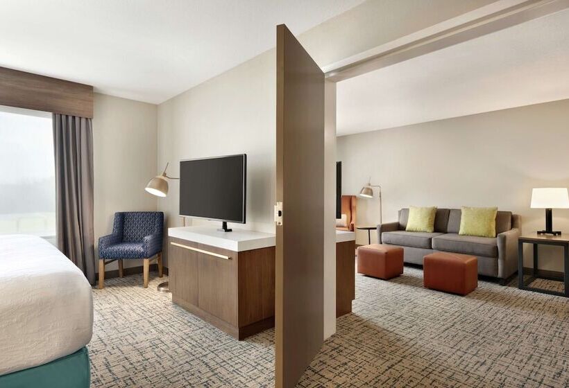 اتاق استاندارد برای معلولان, Hilton Garden Inn Dubuque Downtown