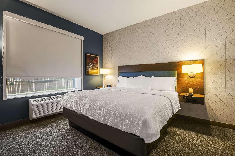 اتاق استاندارد با تخت بزرگ برای معلولان, Hilton Garden Inn Dubuque Downtown
