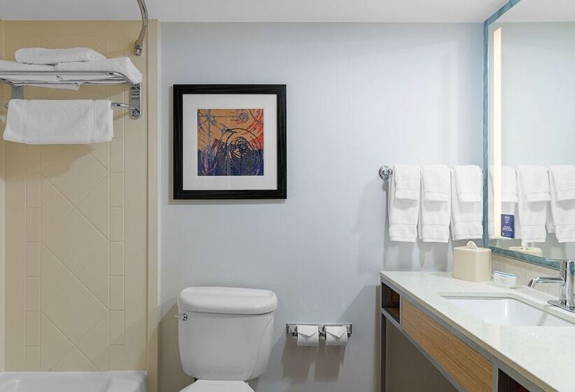 스위트, Hilton Garden Inn Fredericksburg
