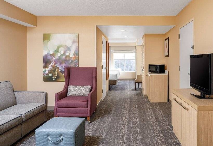 套房, Hilton Garden Inn Fredericksburg