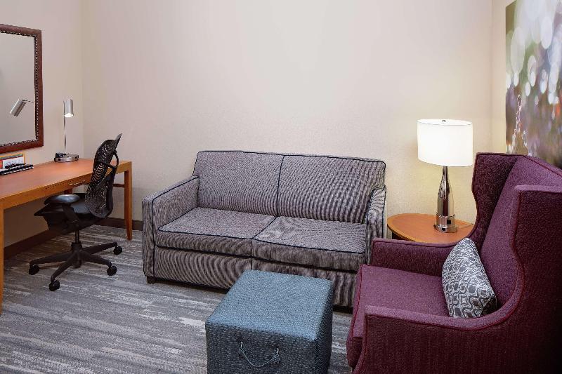 스탠다드 룸 킹사이즈 침대, Hilton Garden Inn Fredericksburg