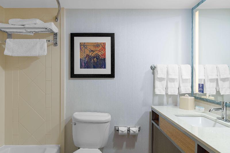 高级客房, Hilton Garden Inn Fredericksburg