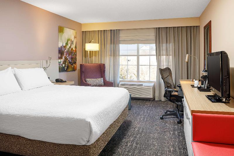 高级客房, Hilton Garden Inn Fredericksburg