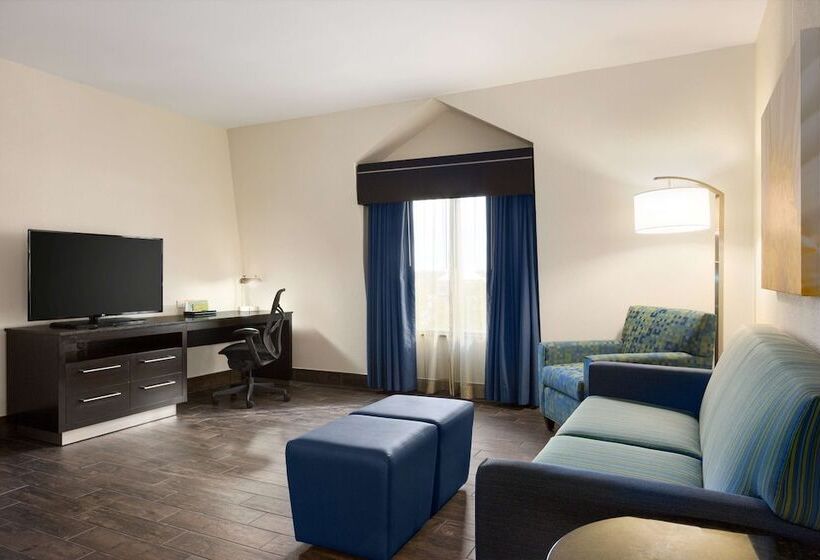Полулюкс, Hilton Garden Inn Houston Nw/willowbrook