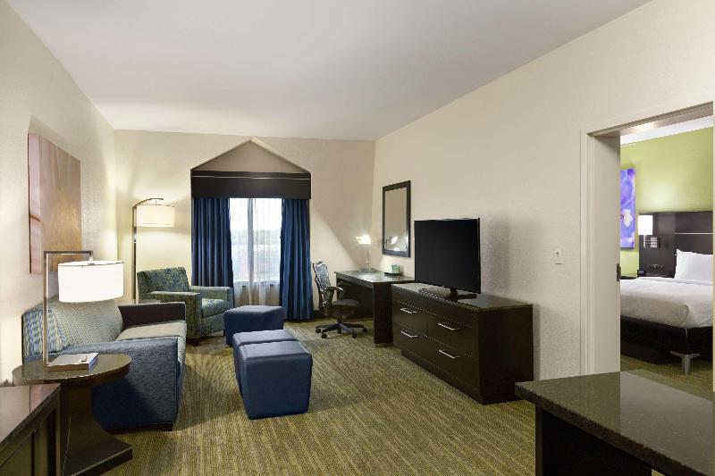 اتاق پرمیوم, Hilton Garden Inn Houston Nw/willowbrook