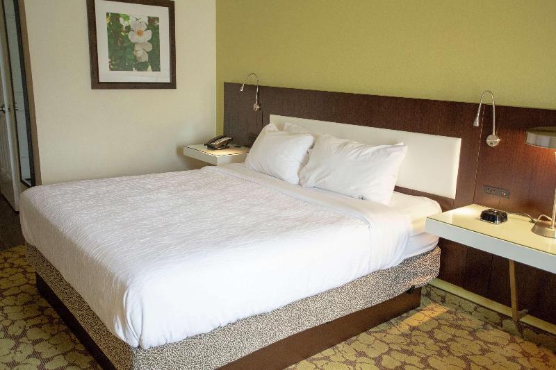 프리미엄 룸, Hilton Garden Inn Temple Medical Center