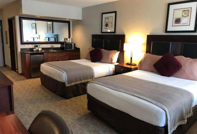 标准间, Shilo Inn Killeen