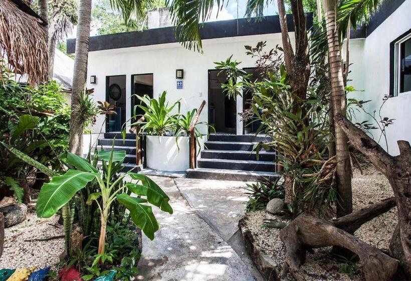 اتاق استاندارد با سرویس بهداشتی مشترک, Hostel Oryx Tulum