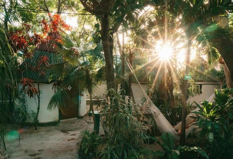اتاق استاندارد با سرویس بهداشتی مشترک, Hostel Oryx Tulum