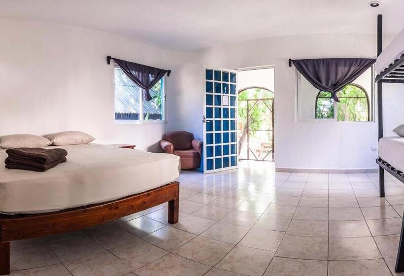 اتاق استاندارد چهار تخته, Hostel Oryx Tulum