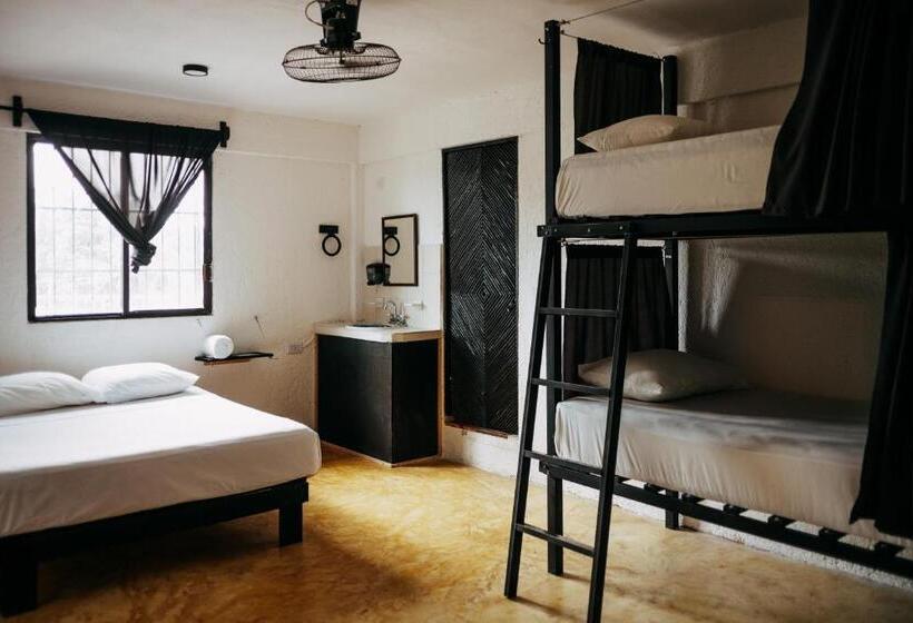 اتاق استاندارد چهار تخته, Hostel Oryx Tulum