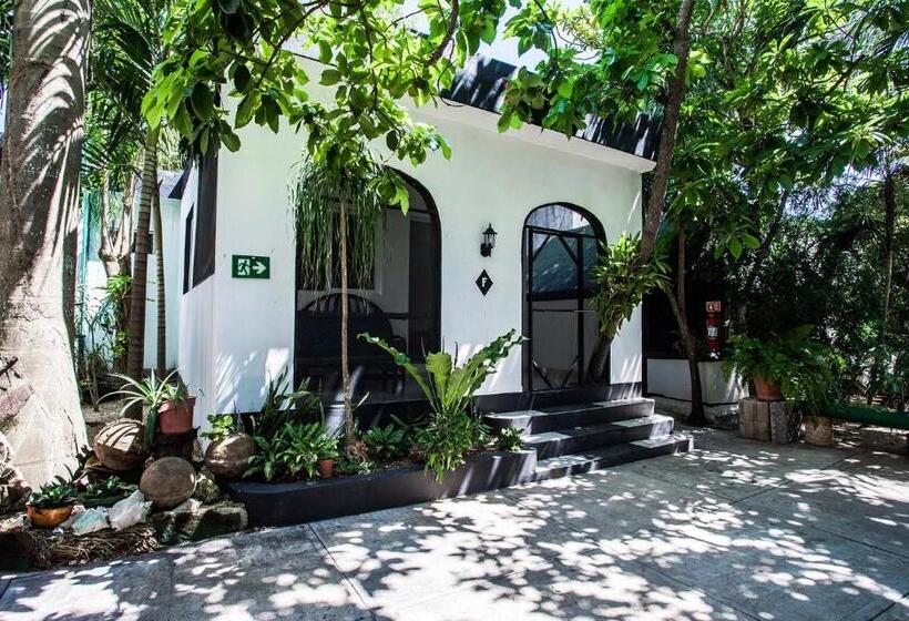 اتاق استاندارد چهار تخته, Hostel Oryx Tulum