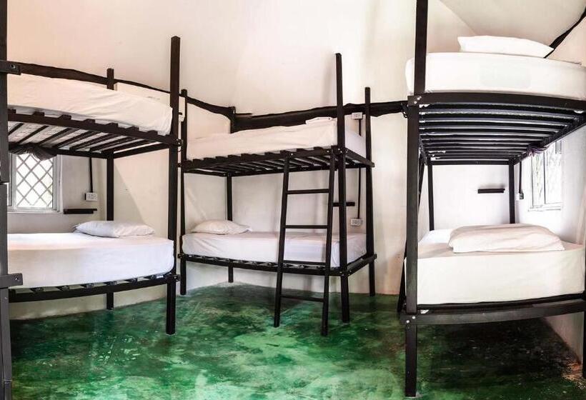 تختخواب در اتاق مشترک, Hostel Oryx Tulum