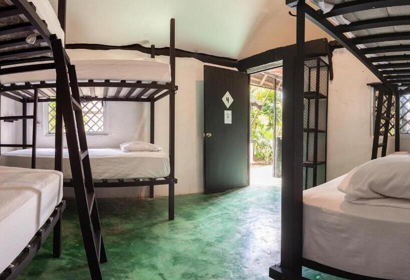 تختخواب در اتاق مشترک, Hostel Oryx Tulum