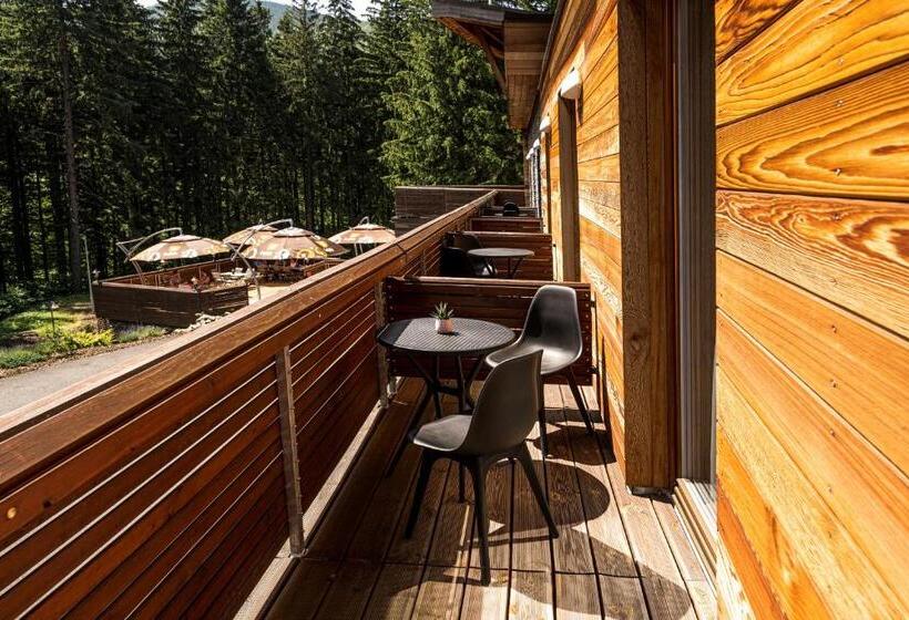 اتاق استاندارد, Horský Hotel Lorkova Vila