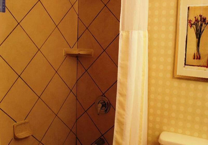 Стандартный Номер Кровать Кинг, Hilton Garden Inn Starkville