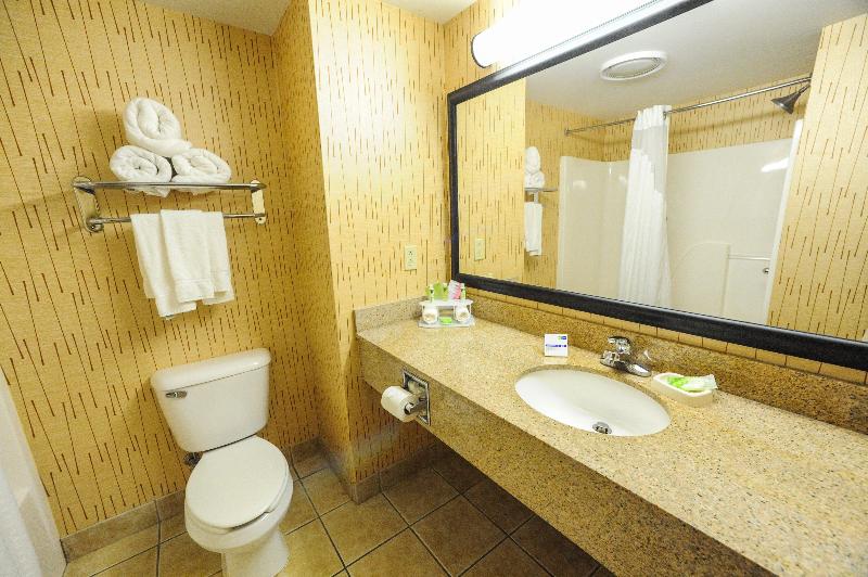 Стандартный Номер Кровать Кинг, Holiday Inn Express Hotel & Suites Bowling Green, An Ihg