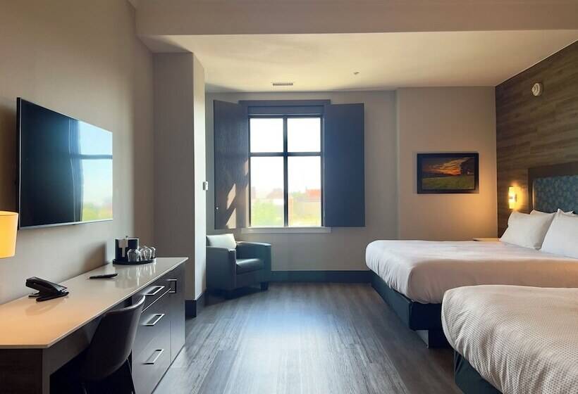 اتاق استاندارد, The Oread Lawrence, Tapestry Collection By Hilton