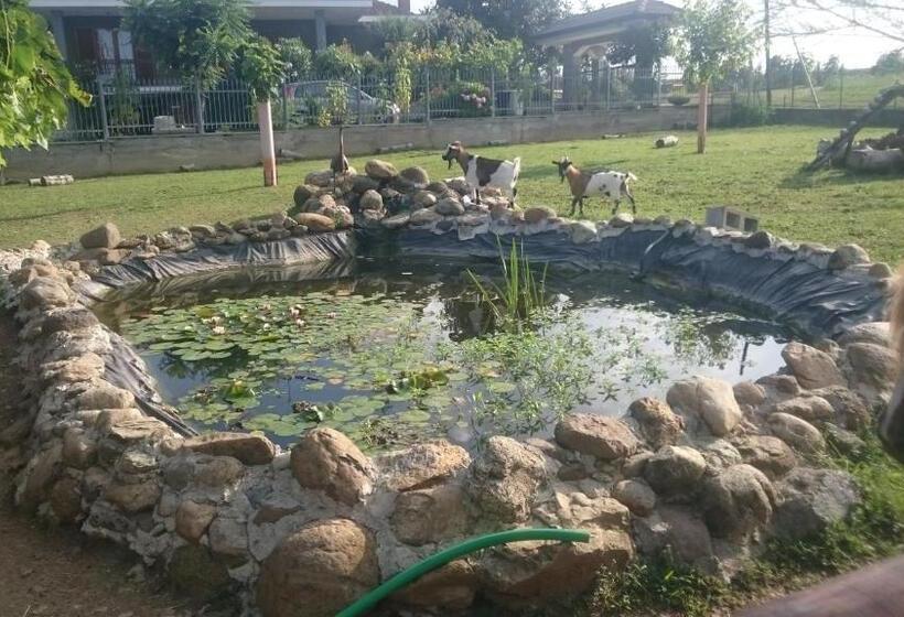ویلای 2 خوابه, Ciliegissima