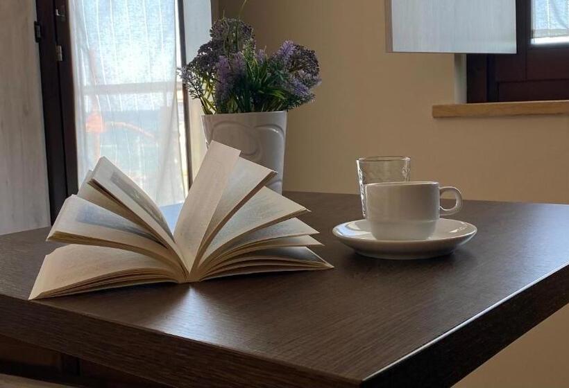 استودیوی استاندارد, Residence Coccinella