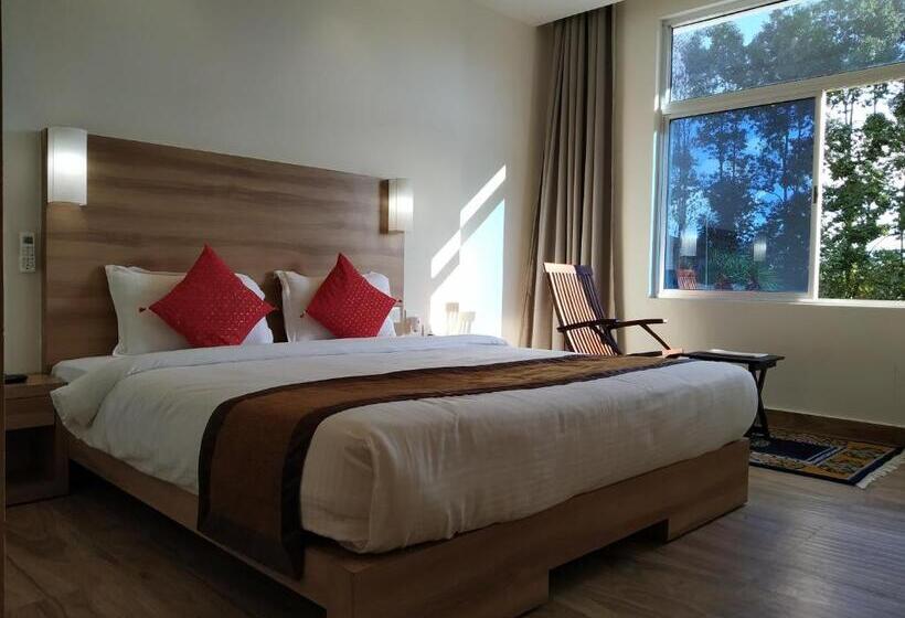 اتاق لوکس با تخت بزرگ, Sc Grand