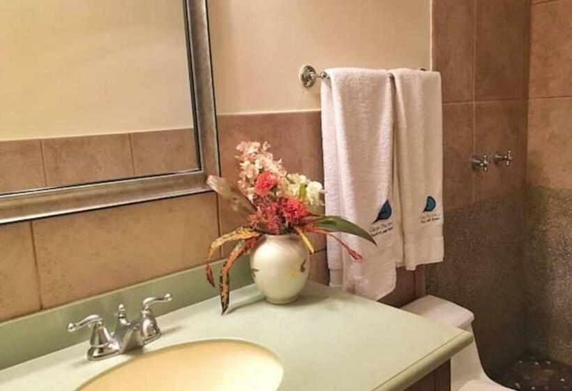 آپارتمان 1 خوابه, Suite Rivas 126 Gran Pacifica Resort