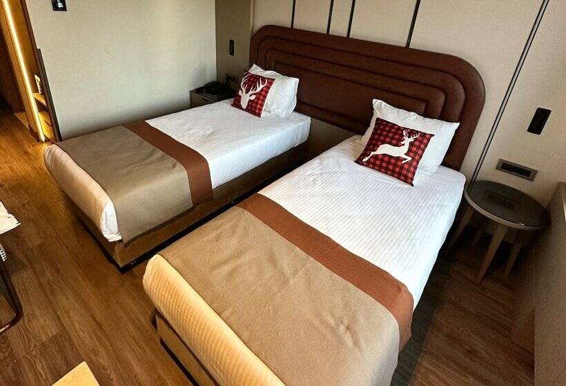 اتاق استاندارد, Edition Old City Hotel