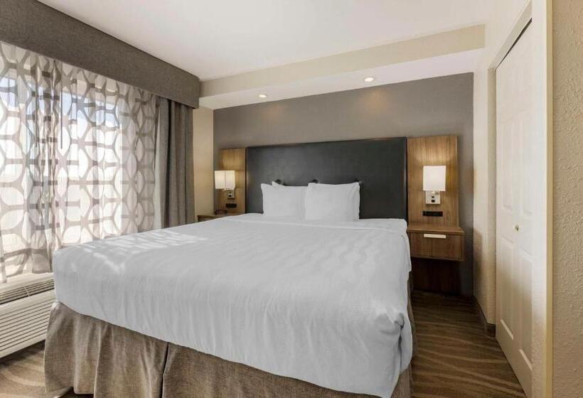 Executive Suite King Bed, Best Western Plus Nashville Airport Hotel   Bna