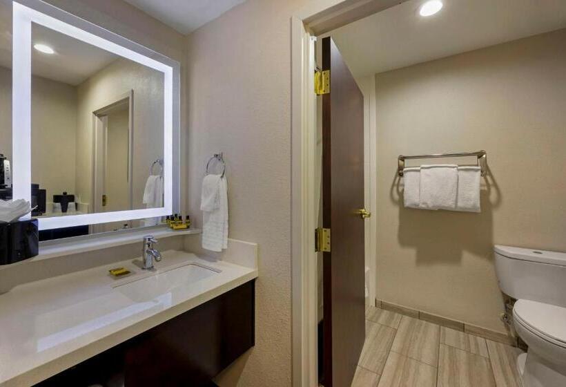 Suite Łóżko King Size, Best Western Plus Nashville Airport Hotel   Bna
