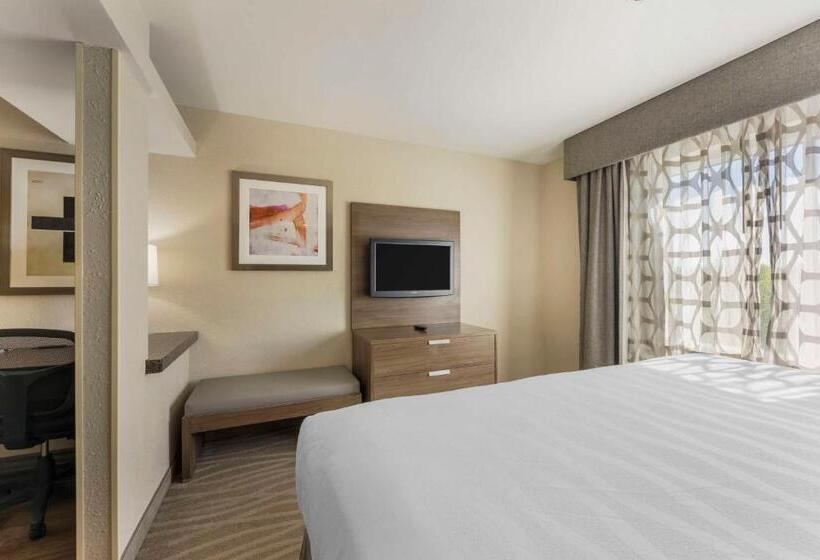 Suite Łóżko King Size, Best Western Plus Nashville Airport Hotel   Bna