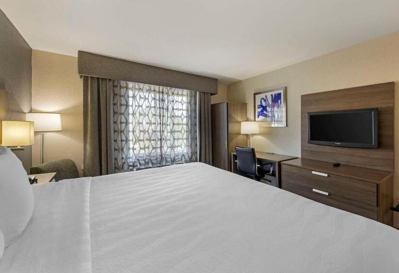 Pokój Typu Standard Łóżko King Przystosowany dla Osób Niepełnosprawnych, Best Western Plus Nashville Airport Hotel   Bna