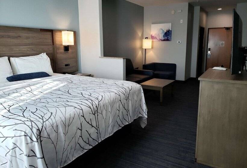 Suite, Best Western Plus San Antonio East Inn & Suites