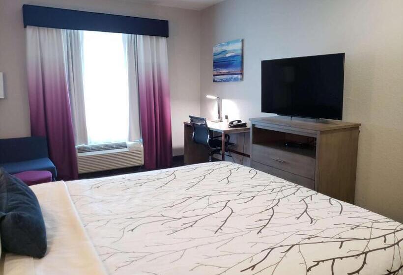 Chambre Standard, Best Western Plus San Antonio East Inn & Suites