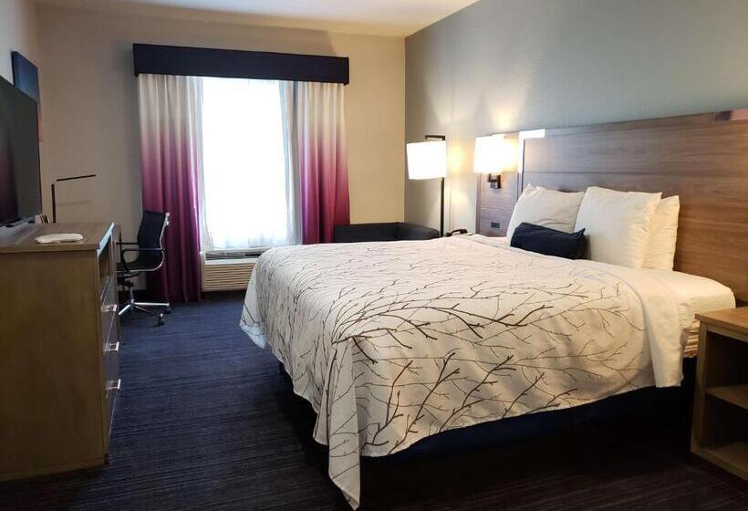 Chambre Standard Lit King Size, Best Western Plus San Antonio East Inn & Suites