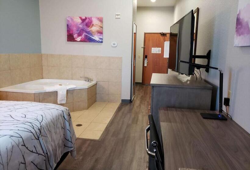 Chambre Standard Lit King Size, Best Western Plus San Antonio East Inn & Suites