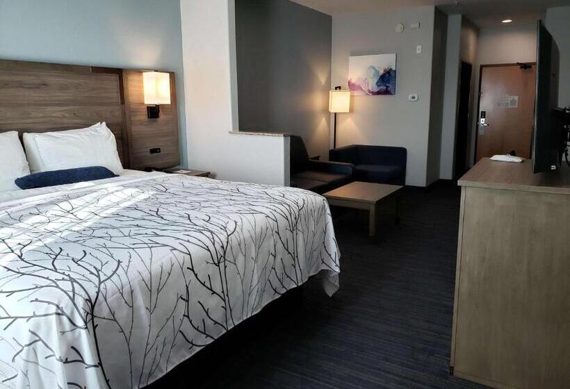 Suite Lit King, Best Western Plus San Antonio East Inn & Suites