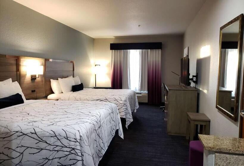 适合残疾人使用的标准间, Best Western Plus San Antonio East Inn & Suites